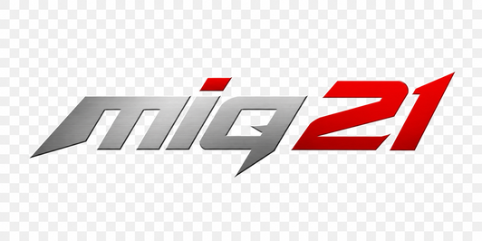 MIG 21